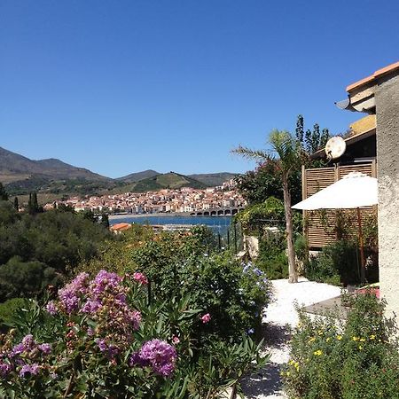 Villa Bougainvilliers Banyuls-sur-Mer Rom bilde
