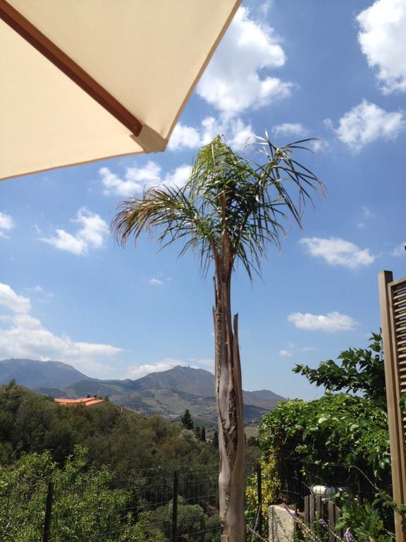 Villa Bougainvilliers Banyuls-sur-Mer Rom bilde