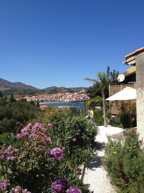Villa Bougainvilliers Banyuls-sur-Mer Rom bilde